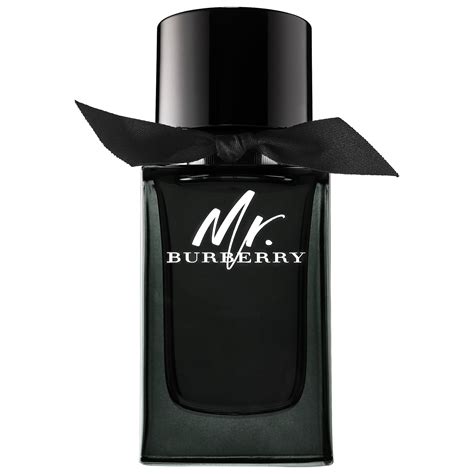 burberry mr parfum 100 ml|where to buy mr Burberry.